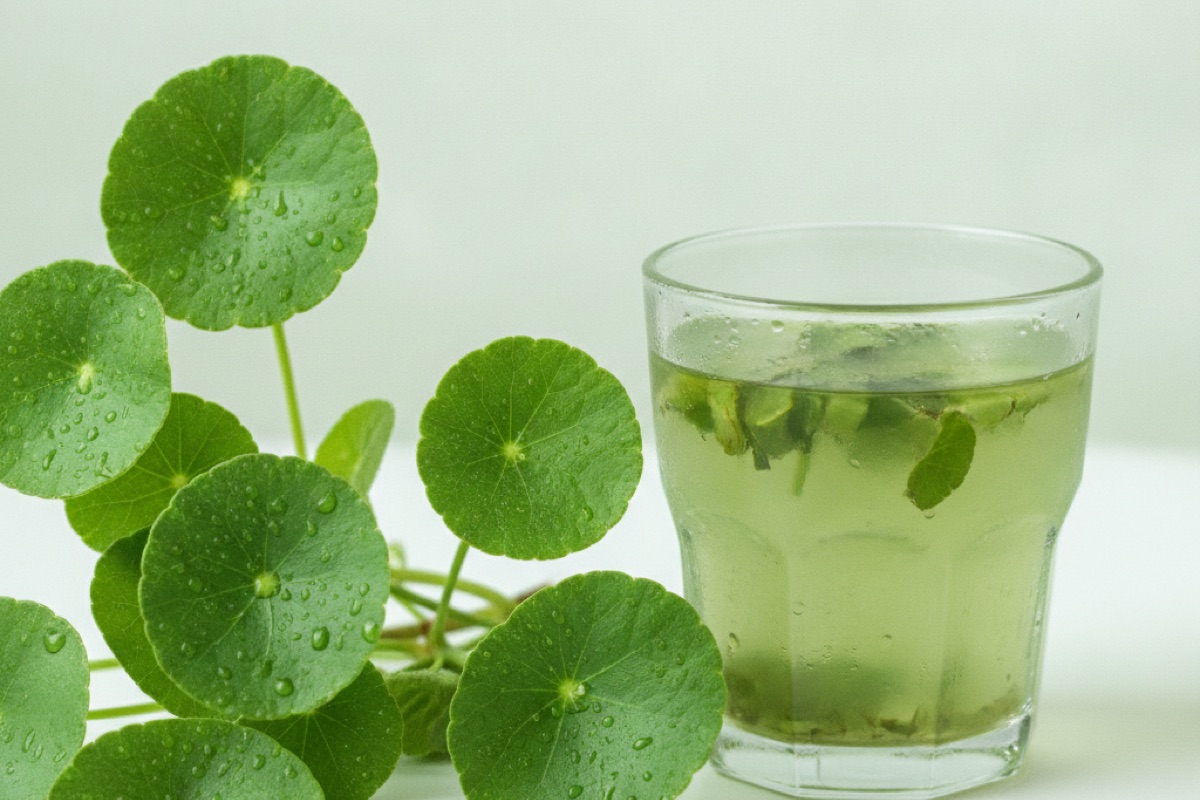 Centella Asiatica (Gotu Kola): Benefits, Uses & Dosage