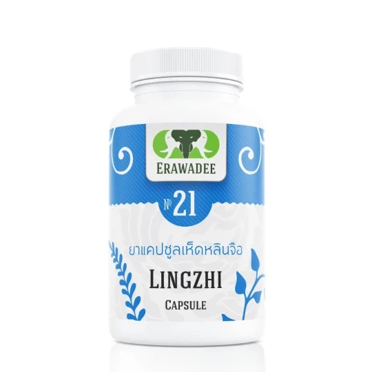 No.21 Lingzhi Mushroom — Daily Vitality & Antioxidant Support