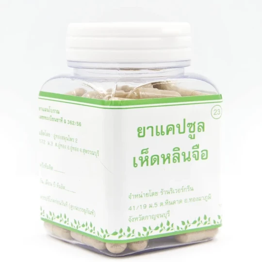 Cendawan Lingzhi (Reishi)