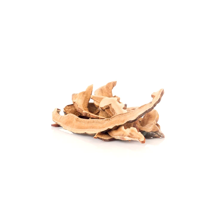 T6 Teh Herbal Lingzhi (Peningkatan Kesehatan yang Utama) 2
