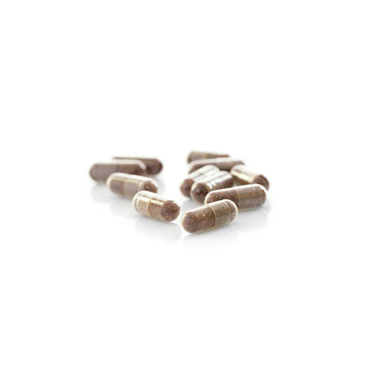 No.45 Noni (Obat imunomodulator) 2