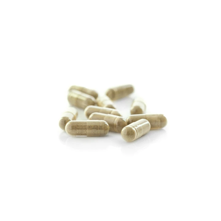 No.55 Kekuatan dari 5 Herbal 2