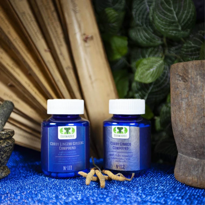 No.111 Cordyceps Plus Lingzhi dan Ekstrak Ginseng 2