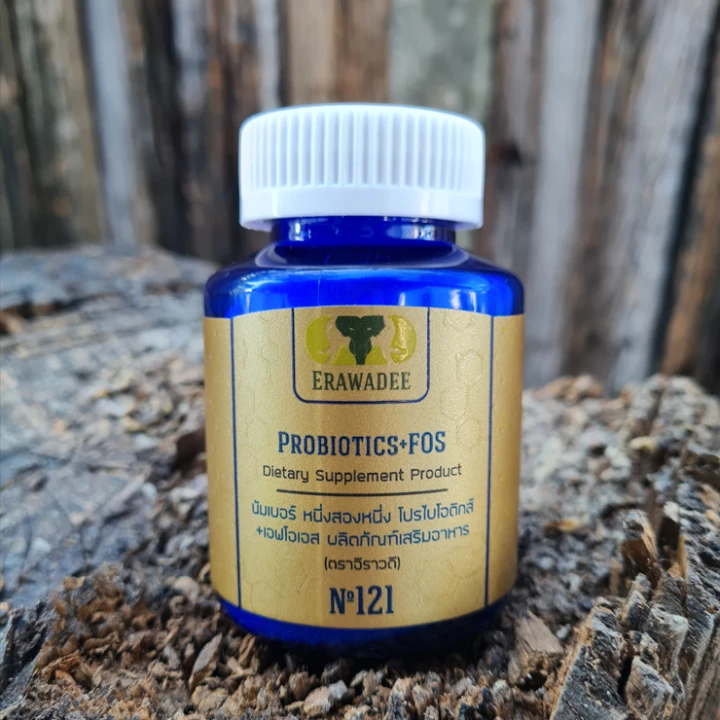 No.121 Probiotik dan Prebiotik 100 COE 2