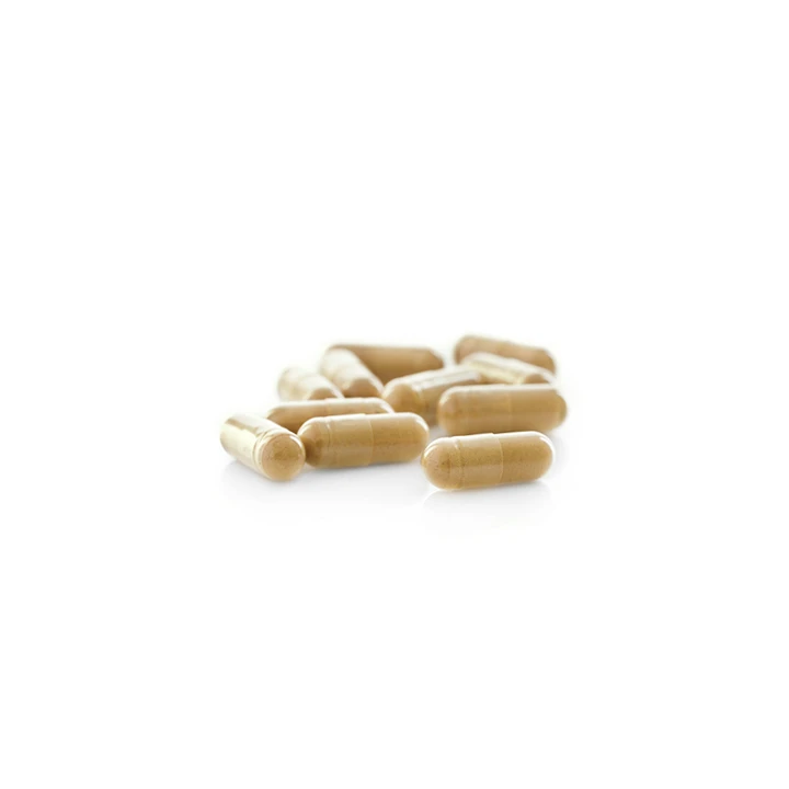 No.47 Garcinia Cambogia (Penekan Rasa Lapar) 2