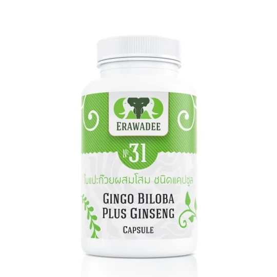 No.31 Ginkgo Biloba dan Panax Ginseng Penguat Otak dan Memori