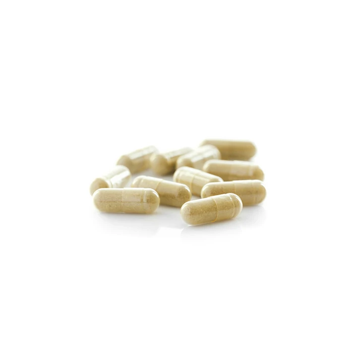 No.40 Ginkgo biloba ( Pengobatan untuk pembuluh darah otak ) 2
